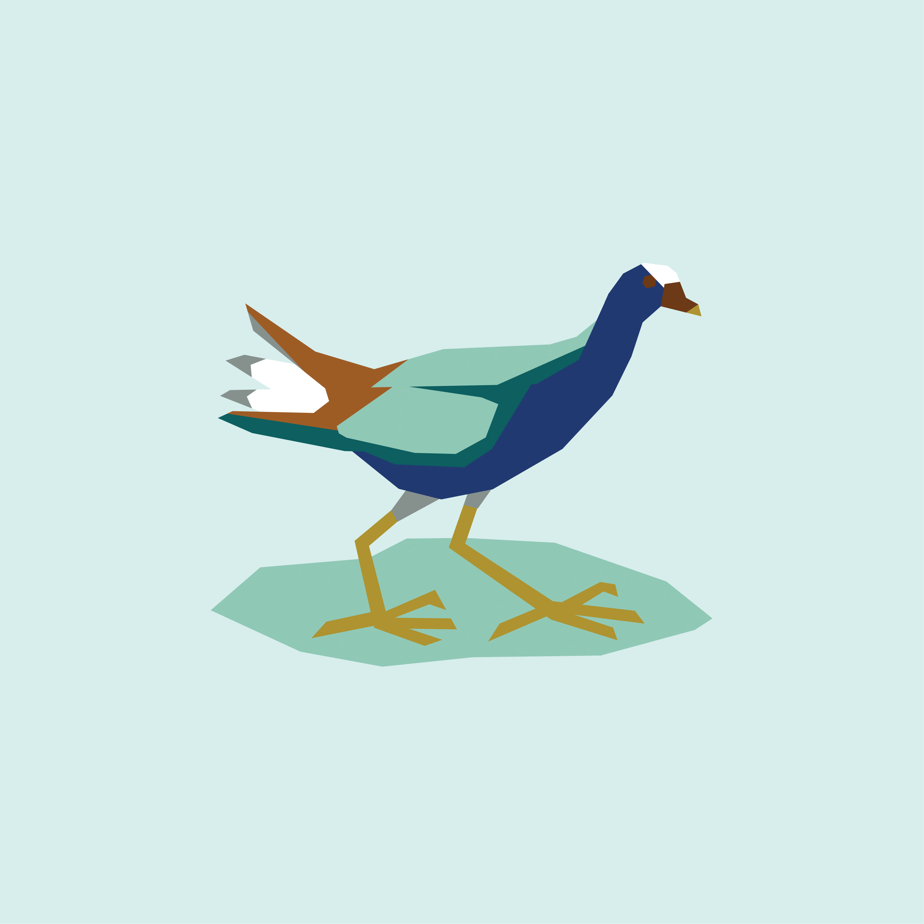 Purple Gallinule