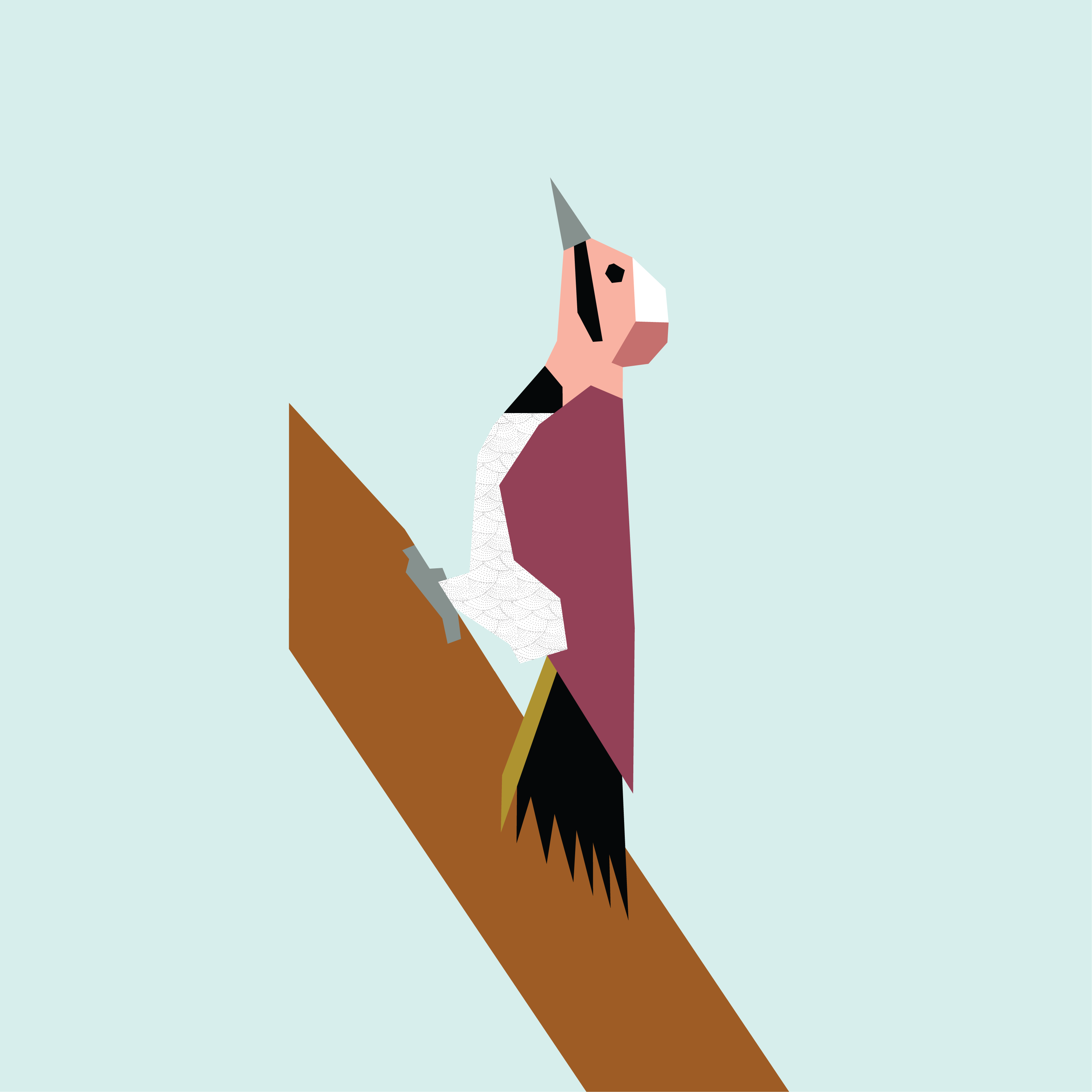 Woodpecker