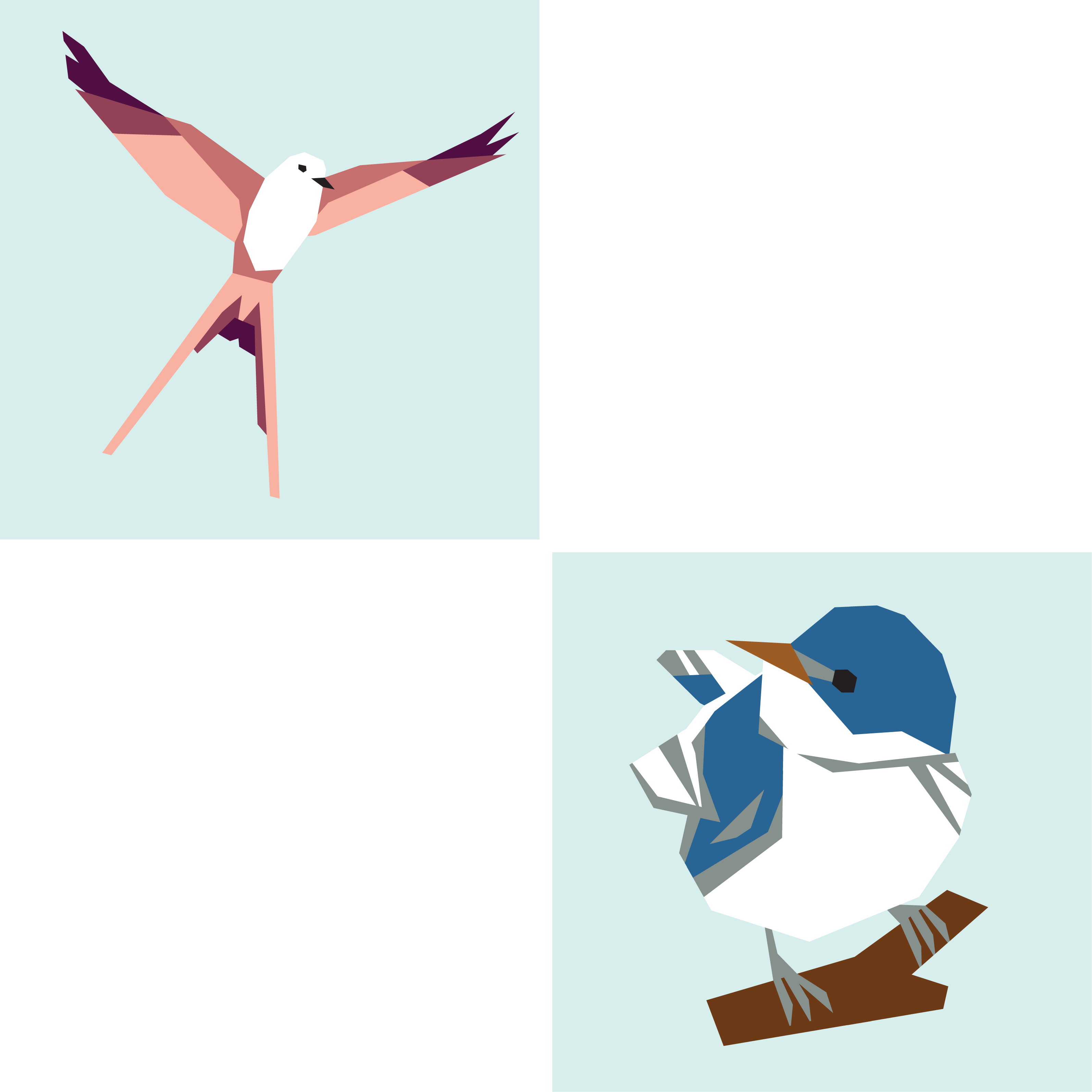 Scissor-Tailed Flycatcher + Cerulean Warbler