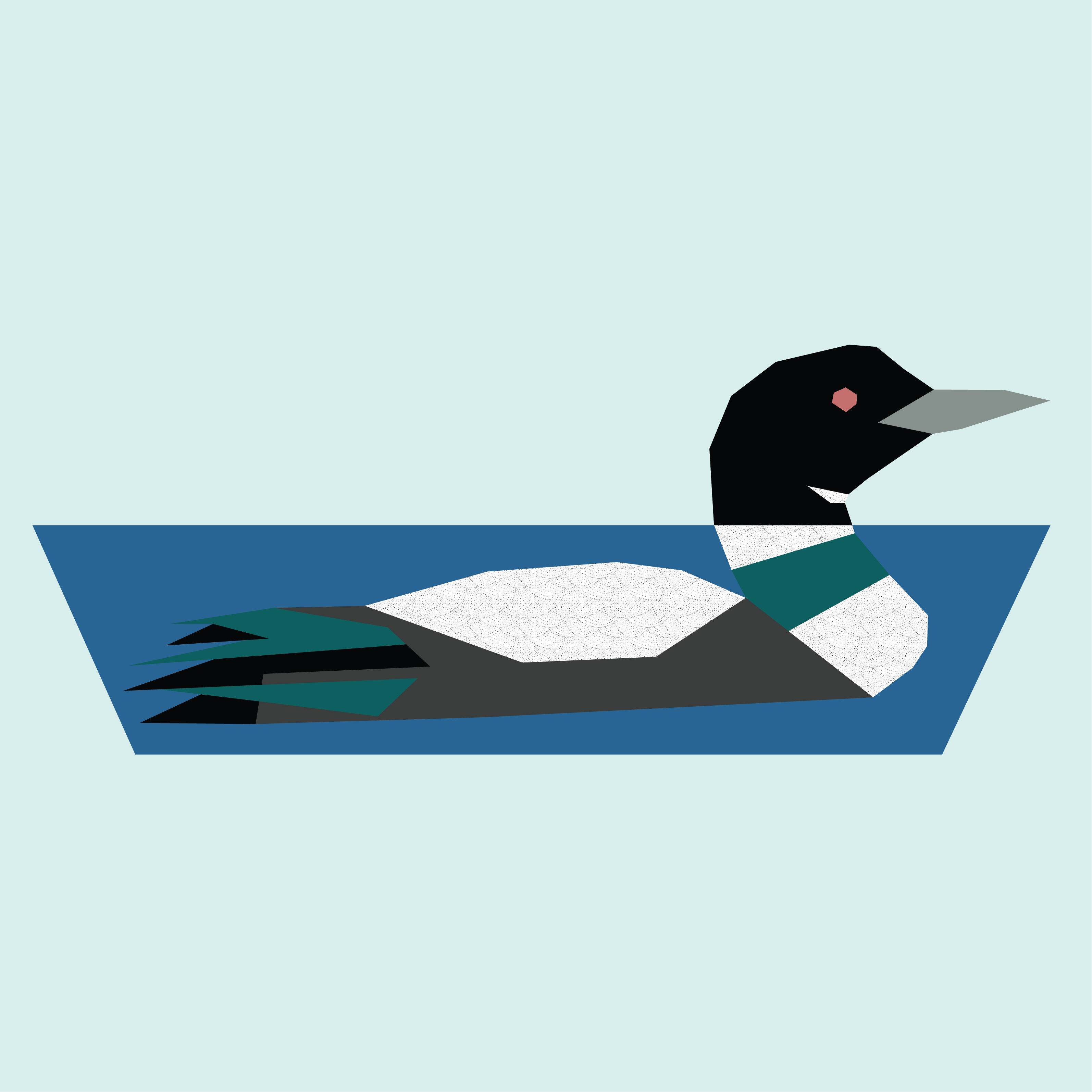 Common Loon