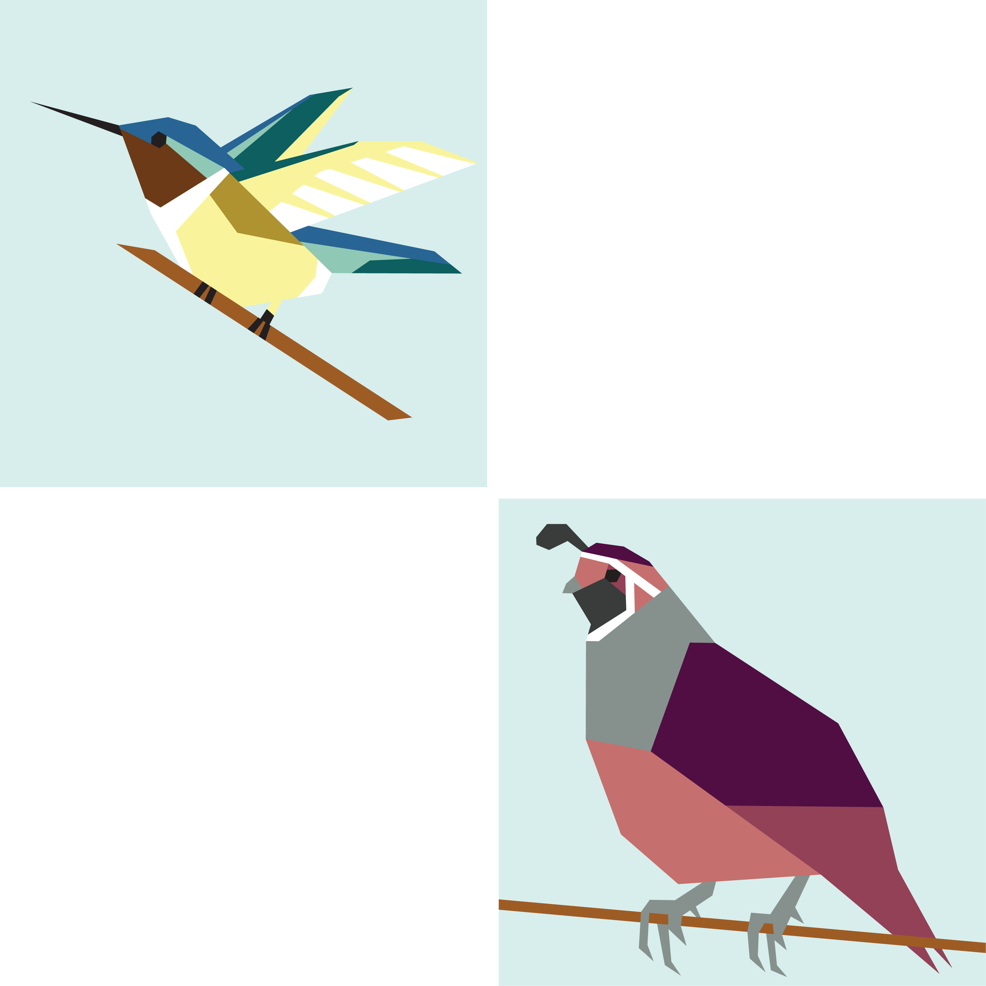 Ruby-Throated Hummingbird + California Quail